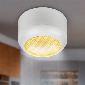 Накладной светильник Эра  OL56 WH в Советском - sovetskiy.ok-mebel.com | фото 8