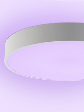 Накладной светильник Natali Kovaltseva MODERN LED LAMPS 81105/1C в Советском - sovetskiy.ok-mebel.com | фото 9