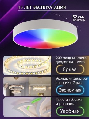 Накладной светильник Natali Kovaltseva MODERN LED LAMPS 81105/2C в Советском - sovetskiy.ok-mebel.com | фото 6