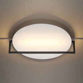 Накладной светильник Odeon Light Next 7015/20WL в Советском - sovetskiy.ok-mebel.com | фото 2