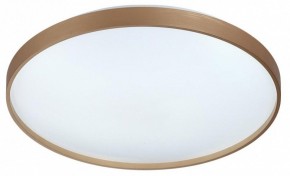 Накладной светильник Sonex Gaby 7783/EL в Советском - sovetskiy.ok-mebel.com | фото 4