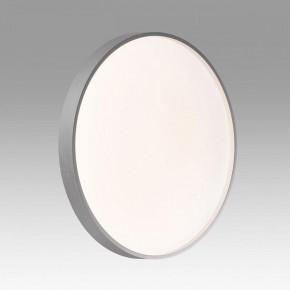 Накладной светильник Sonex Gaby 7784/DL в Советском - sovetskiy.ok-mebel.com | фото 2