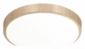 Накладной светильник Sonex Losta 7607/CL в Советском - sovetskiy.ok-mebel.com | фото 4