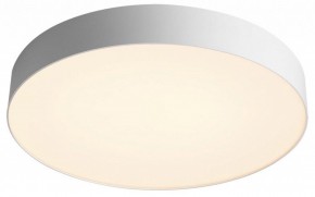 Накладной светильник Sonex Optima 7779/EL в Советском - sovetskiy.ok-mebel.com | фото 3
