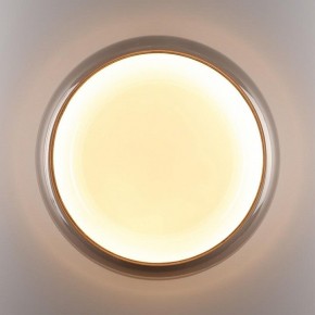 Накладной светильник Sonex PORTMAN 7777/DLN в Советском - sovetskiy.ok-mebel.com | фото 6
