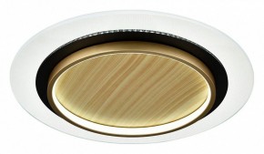 Накладной светильник Sonex Sunny 7731/80L в Советском - sovetskiy.ok-mebel.com | фото