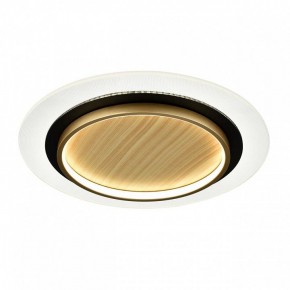 Накладной светильник Sonex Sunny 7731/80L в Советском - sovetskiy.ok-mebel.com | фото 4