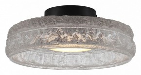 Накладной светильник ST-Luce ANTIKE SL6143.402.01 в Советском - sovetskiy.ok-mebel.com | фото 2