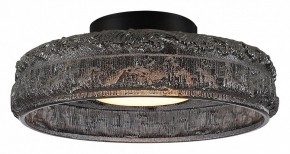 Накладной светильник ST-Luce ANTIKE SL6143.412.01 в Советском - sovetskiy.ok-mebel.com | фото 2
