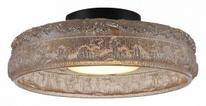 Накладной светильник ST-Luce ANTIKE SL6143.422.01 в Советском - sovetskiy.ok-mebel.com | фото 3
