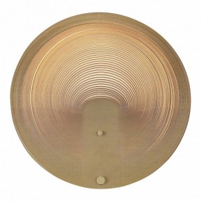 Накладной светильник ST-Luce Fossil SL6900.501.16 в Советском - sovetskiy.ok-mebel.com | фото 2