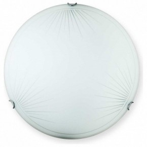 Накладной светильник TopLight Wifa TL9142Y-00WH в Советском - sovetskiy.ok-mebel.com | фото