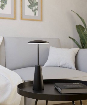 Настольная лампа декоративная Eglo PICCOLA 900925 в Советском - sovetskiy.ok-mebel.com | фото 4