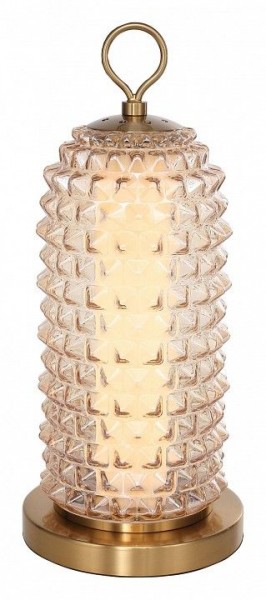 Настольная лампа декоративная ST-Luce SAGUARO SL6144.304.01 в Советском - sovetskiy.ok-mebel.com | фото 2