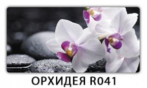 Обеденный стол Паук с фотопечатью узор Цветы R044 в Советском - sovetskiy.ok-mebel.com | фото 21