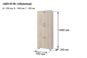 ШО-53 В тумба для обуви в Советском - sovetskiy.ok-mebel.com | фото 8