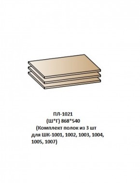 ПЛ-1021 (Комплект полок из 3 шт для ШК-1001, 1002, 1003, 1004, 1005, 1007) в Советском - sovetskiy.ok-mebel.com | фото
