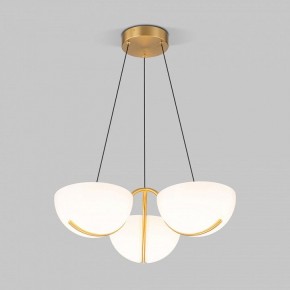 Подвесная люстра Eurosvet Emisfero 50083/3 LED золото в Советском - sovetskiy.ok-mebel.com | фото 2