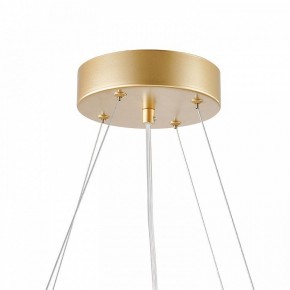 Подвесная люстра Favourite Asterismo 4448-6P в Советском - sovetskiy.ok-mebel.com | фото 9