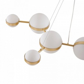 Подвесная люстра Favourite Asterismo 4448-8P в Советском - sovetskiy.ok-mebel.com | фото 7