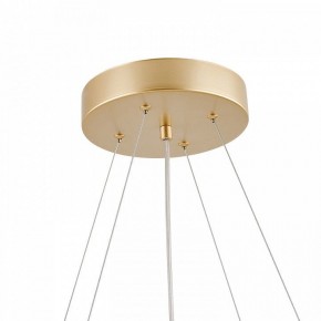 Подвесная люстра Favourite Asterismo 4448-8P в Советском - sovetskiy.ok-mebel.com | фото 8
