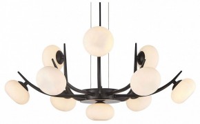 Подвесная люстра Lussole Blubber LSP-8937 в Советском - sovetskiy.ok-mebel.com | фото