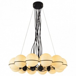 Подвесная люстра Lussole Seneca LSP-8177 в Советском - sovetskiy.ok-mebel.com | фото