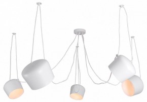 Подвесная люстра Lussole Shirley LSP-8175 в Советском - sovetskiy.ok-mebel.com | фото