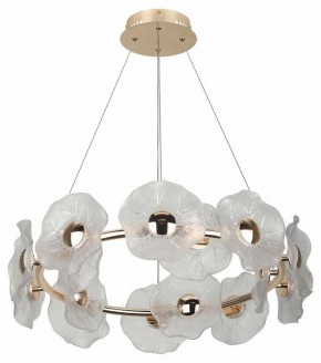 Подвесная люстра Rivoli Shannon Б0061947 в Советском - sovetskiy.ok-mebel.com | фото 4