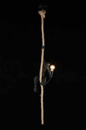 Подвесной светильник Aployt Magali APL.309.16.01 в Советском - sovetskiy.ok-mebel.com | фото 3