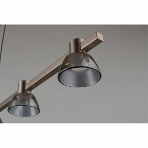 Подвесной светильник Aployt Rezeda APL.788.03.06 в Советском - sovetskiy.ok-mebel.com | фото 4