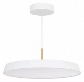 Подвесной светильник Arlight ELEGANT 033925(1) в Советском - sovetskiy.ok-mebel.com | фото 2