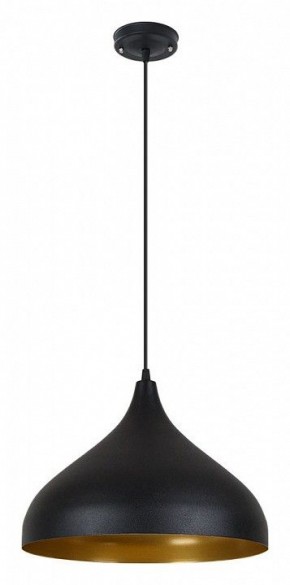 Подвесной светильник Arte Lamp Carmel A7076SP-1BK в Советском - sovetskiy.ok-mebel.com | фото 2