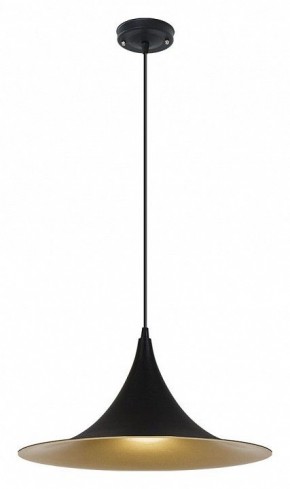 Подвесной светильник Arte Lamp Carmel A7080SP-1BK в Советском - sovetskiy.ok-mebel.com | фото 2