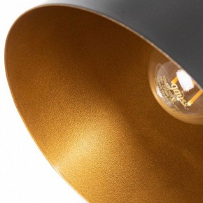 Подвесной светильник Arte Lamp Thomas A7032SP-1BK в Советском - sovetskiy.ok-mebel.com | фото 5
