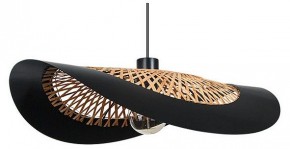 Подвесной светильник Arte Lamp Woodstock A7059SP-1BK в Советском - sovetskiy.ok-mebel.com | фото