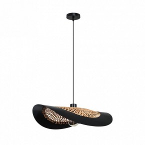 Подвесной светильник Arte Lamp Woodstock A7059SP-1BK в Советском - sovetskiy.ok-mebel.com | фото 2