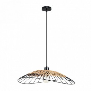 Подвесной светильник Arte Lamp Woodstock A7061SP-1BK в Советском - sovetskiy.ok-mebel.com | фото 2