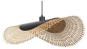 Подвесной светильник Arte Lamp Woodstock A7063SP-1BK в Советском - sovetskiy.ok-mebel.com | фото