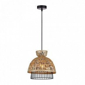 Подвесной светильник Arte Lamp Woodstock A7070SP-1BK в Советском - sovetskiy.ok-mebel.com | фото
