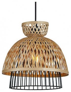 Подвесной светильник Arte Lamp Woodstock A7070SP-1BK в Советском - sovetskiy.ok-mebel.com | фото 2