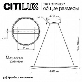 Подвесной светильник Citilux Trio CL215B051 в Советском - sovetskiy.ok-mebel.com | фото 8