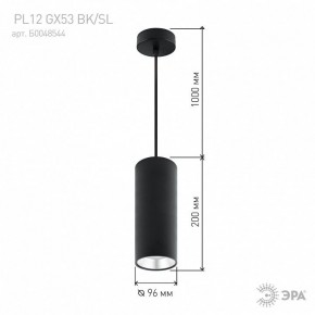 Подвесной светильник Эра  PL12 GX53 BK/SL в Советском - sovetskiy.ok-mebel.com | фото 8