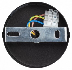 Подвесной светильник Эра  PL12 GX53 BK/SL в Советском - sovetskiy.ok-mebel.com | фото 9