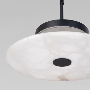Подвесной светильник Eurosvet Thasos 40342 LED черный в Советском - sovetskiy.ok-mebel.com | фото 8