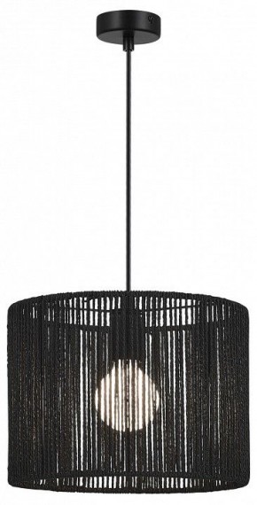 Подвесной светильник EVOLUCE ETTAN SLE6024-403-01 в Советском - sovetskiy.ok-mebel.com | фото 2