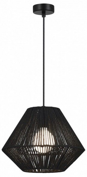 Подвесной светильник EVOLUCE ETTAN SLE6025-403-01 в Советском - sovetskiy.ok-mebel.com | фото 2