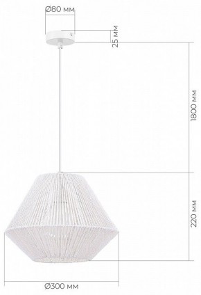 Подвесной светильник EVOLUCE ETTAN SLE6025-503-01 в Советском - sovetskiy.ok-mebel.com | фото 6