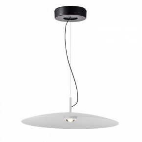Подвесной светильник Favourite Lars 4410-2P в Советском - sovetskiy.ok-mebel.com | фото 2
