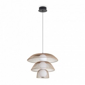Подвесной светильник Freya Harper FR5545PL-L5BG в Советском - sovetskiy.ok-mebel.com | фото 4